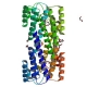 Human Serum Amyloid A Protein (Part hSAA-1mg)